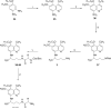 Scheme 2