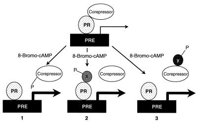 FIG. 7