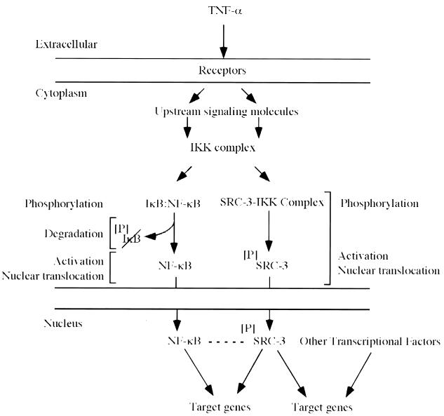 FIG. 8.