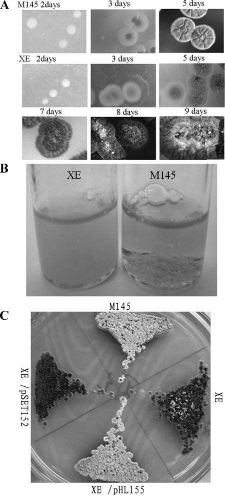 FIG. 2.