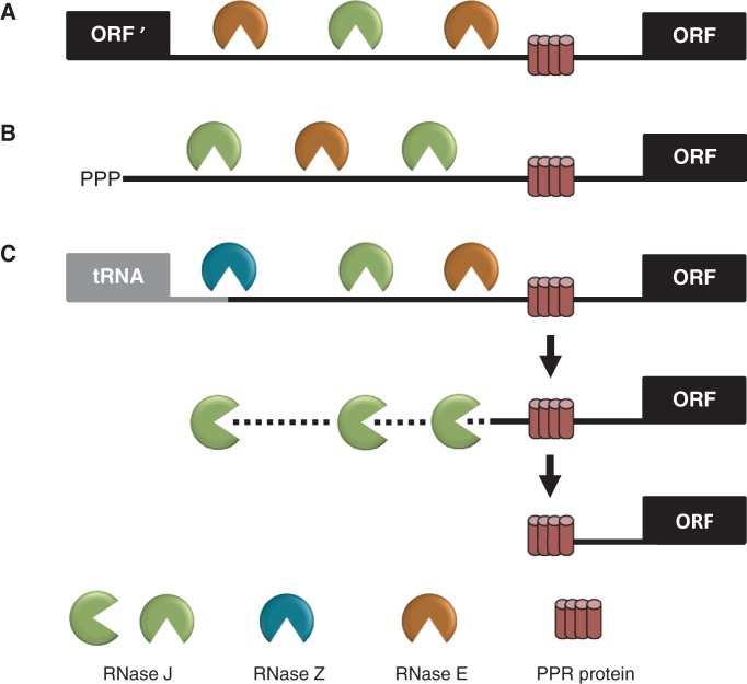 Figure 6.