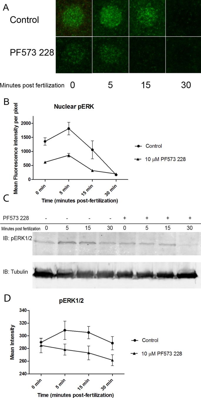 FIGURE 7: