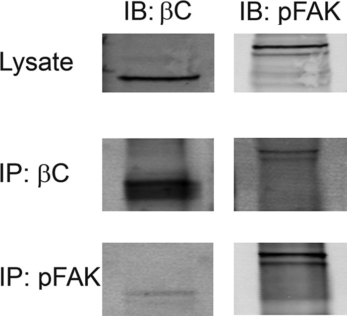 FIGURE 3: