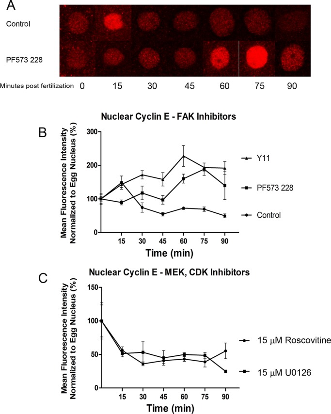 FIGURE 6: