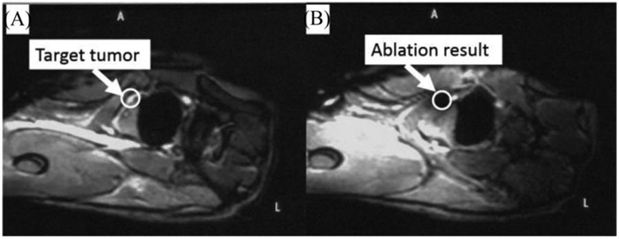 Fig. 9.