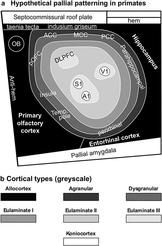 Fig. 9