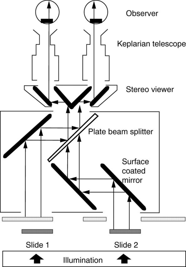 Figure 1  