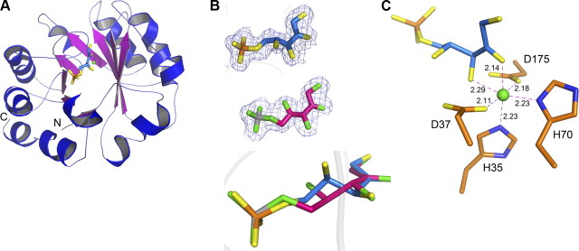 Figure 2.