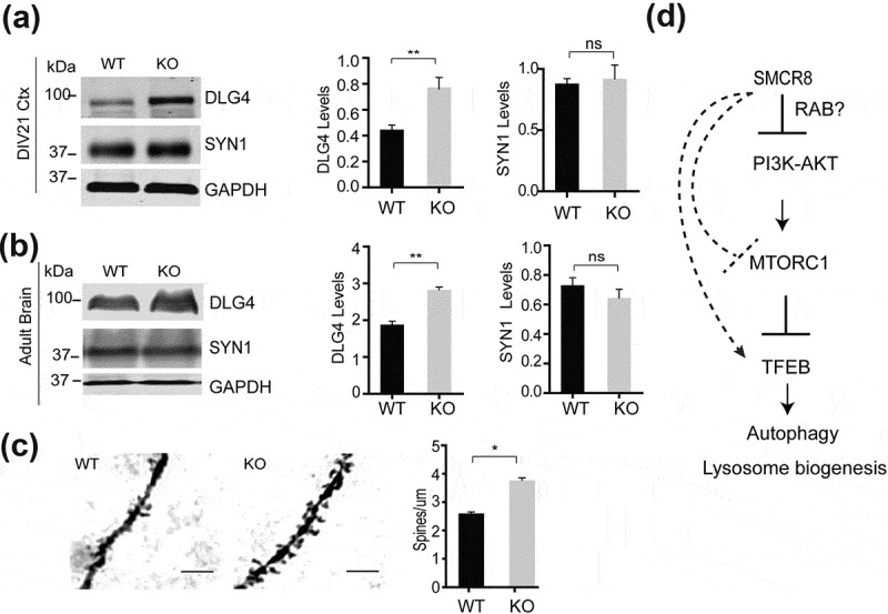 Figure 10.