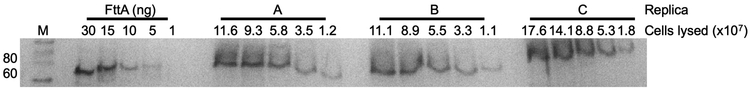 Extended Data Figure 5