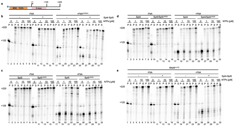 Extended Data Figure 4