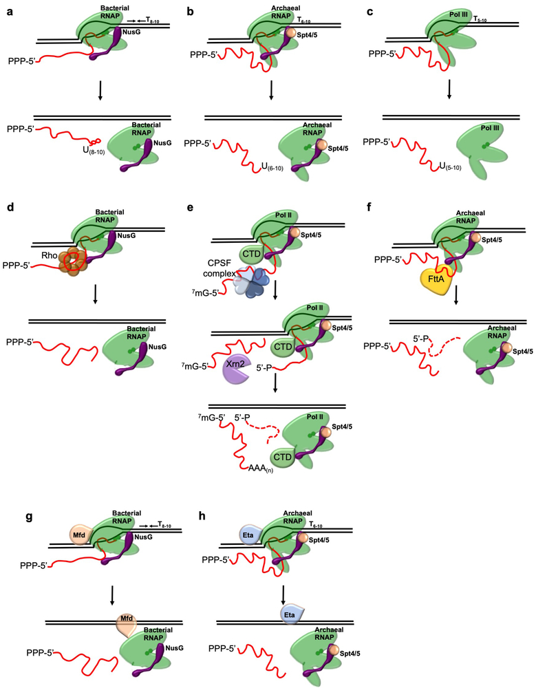 Extended Data Figure 1