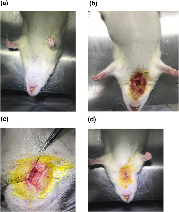 FIGURE 1