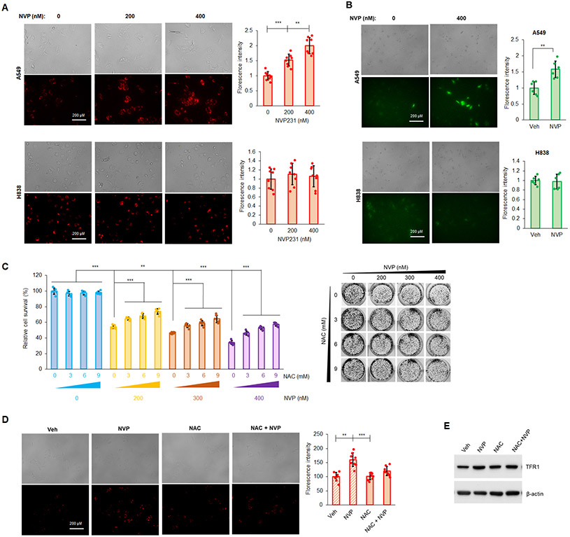 Figure 3: