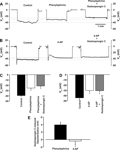 Fig. 12.