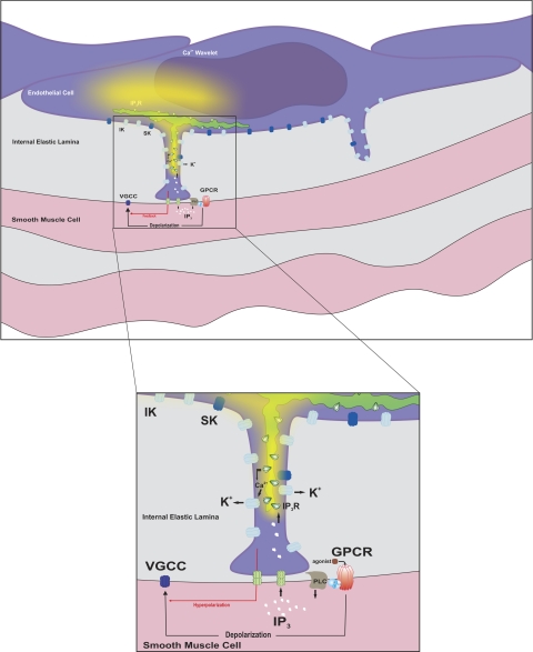 Fig. 13.