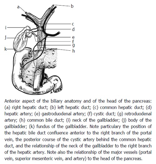 Spectrum Of Biliary Complications Following Live Donor Liver Transplantation Pmc