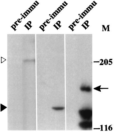 FIG. 8