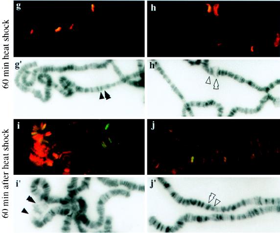 FIG. 7