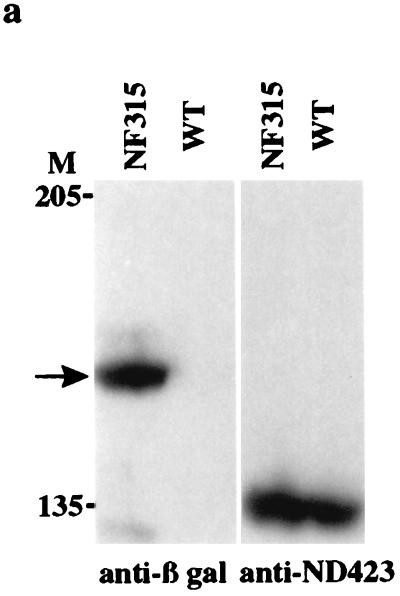 FIG. 6