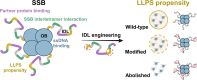 Graphical Abstract