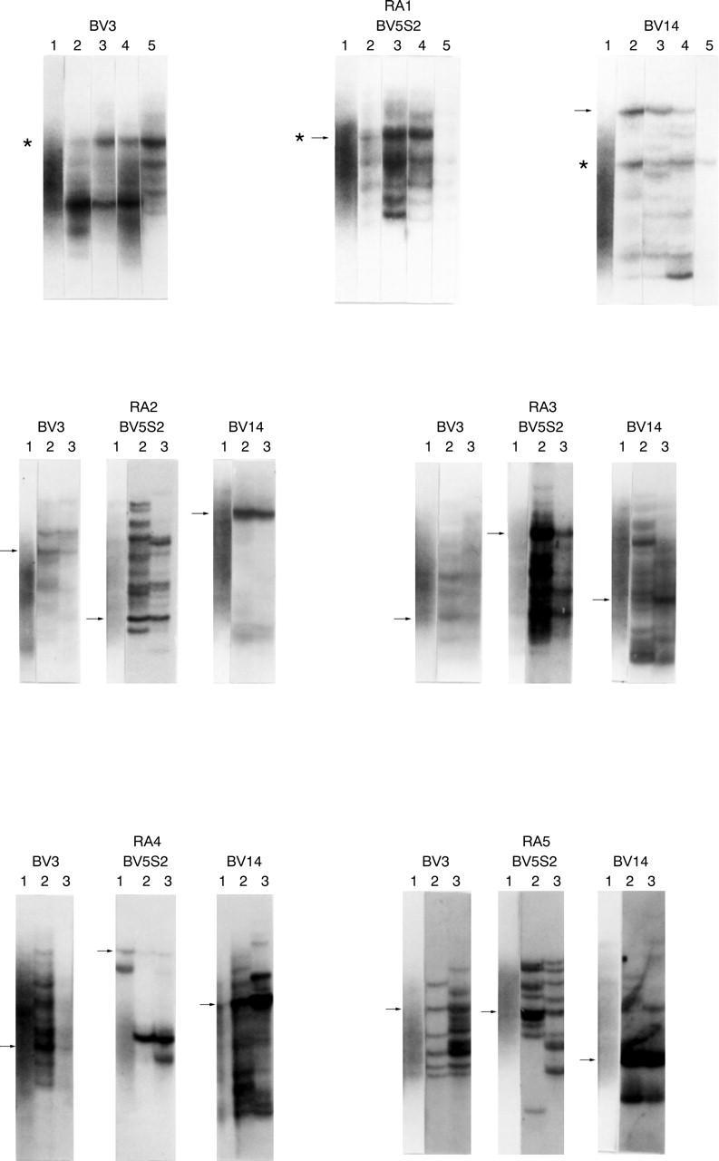 Figure 1  