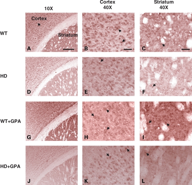 Figure 3.