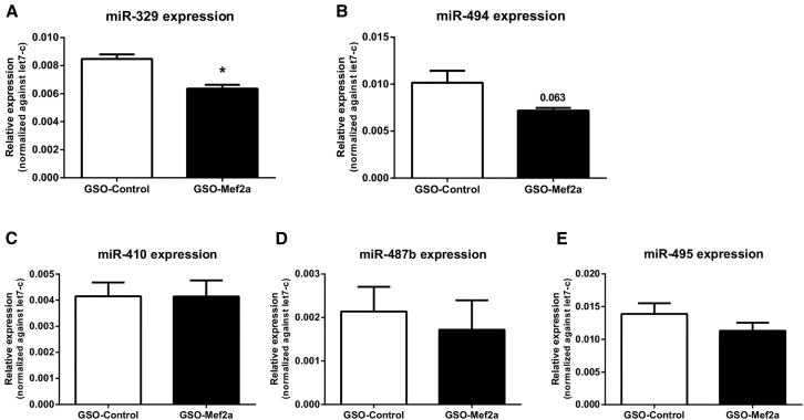 Figure 6