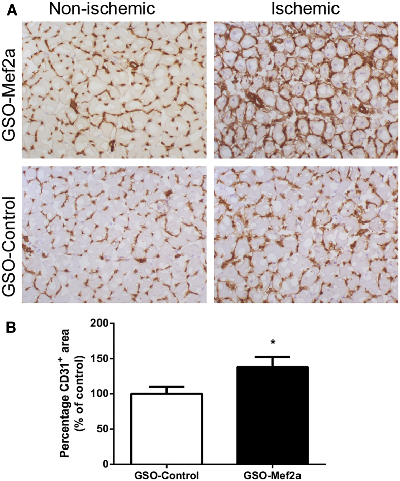 Figure 5