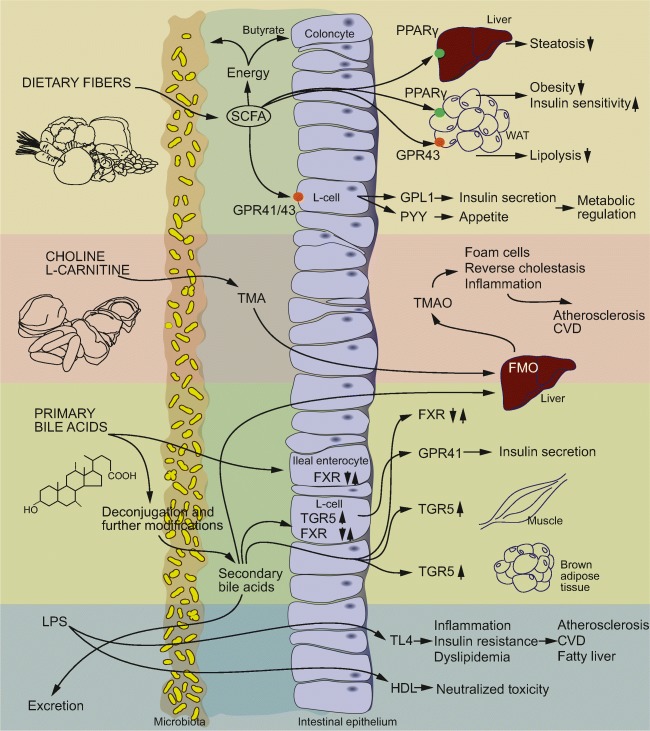 Fig. 2