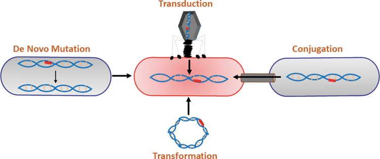 FIG. 1.