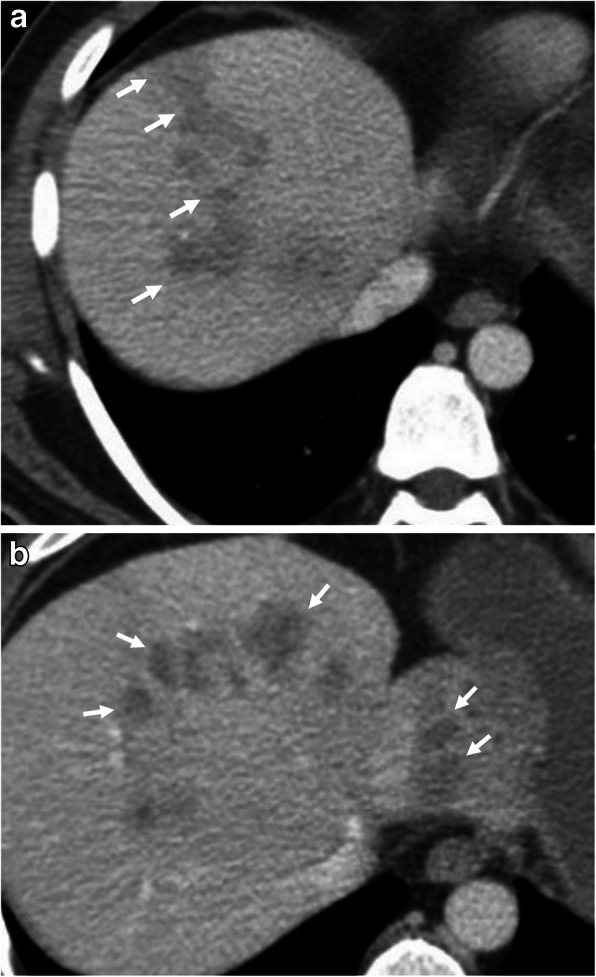 Fig. 9