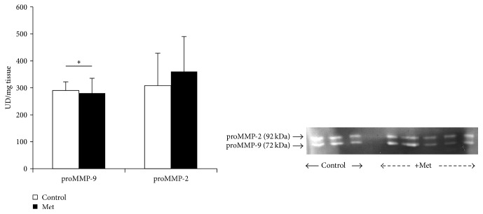 Figure 12