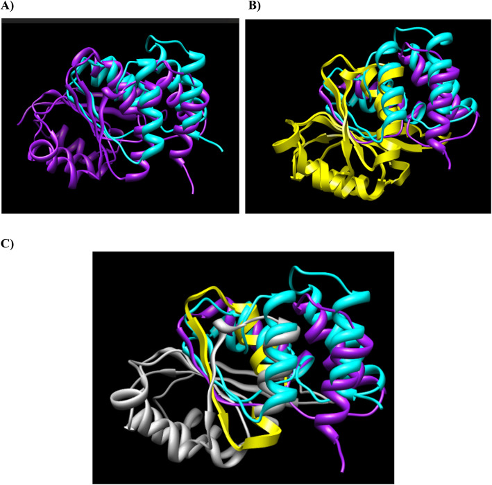 Fig. 2