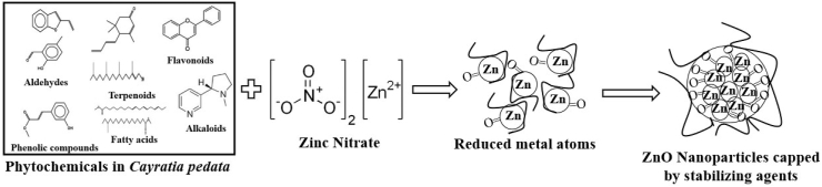 Fig. 1