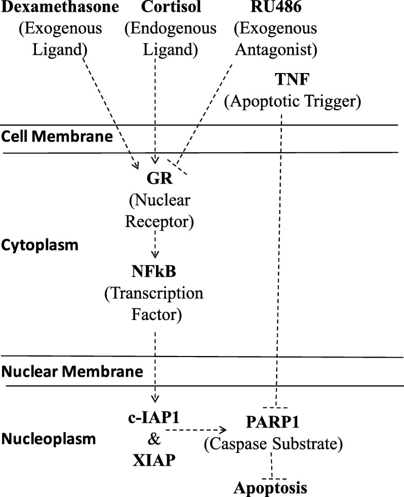 Fig. 8