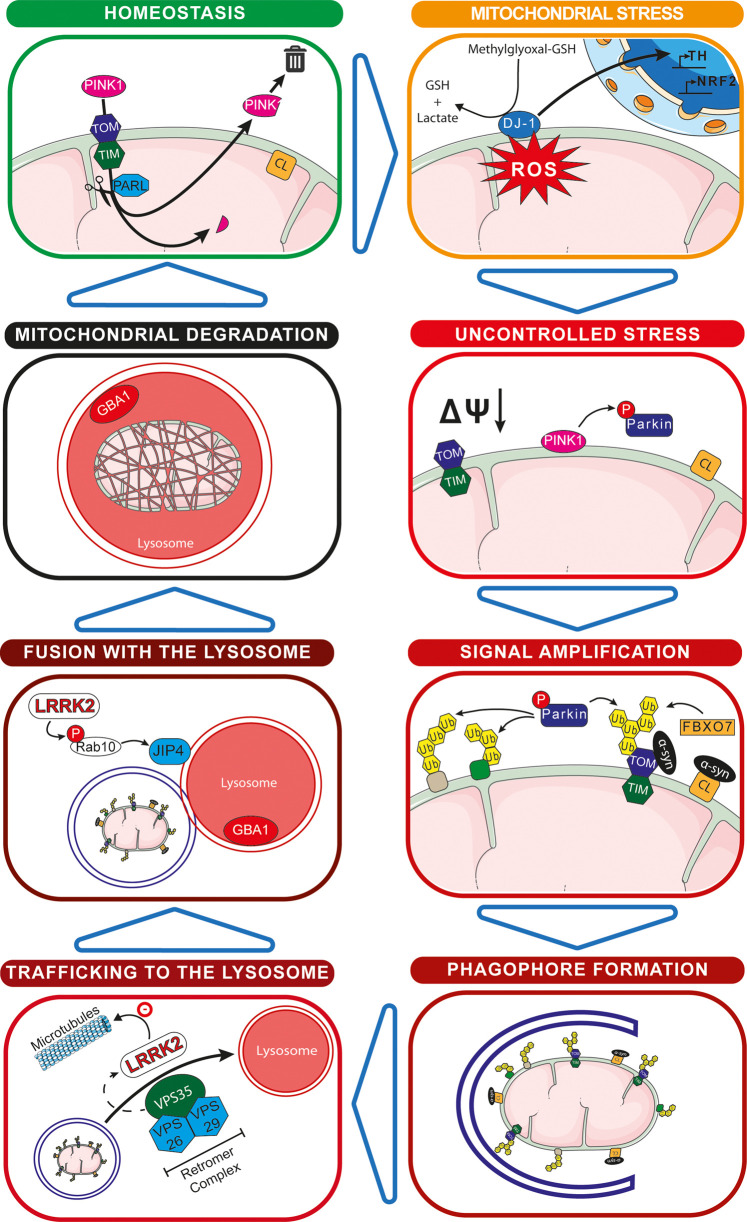 Figure 1.