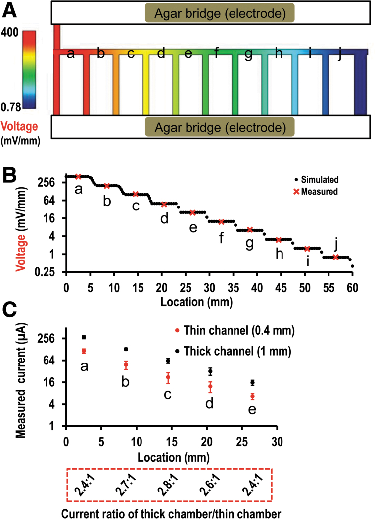 FIG. 3.