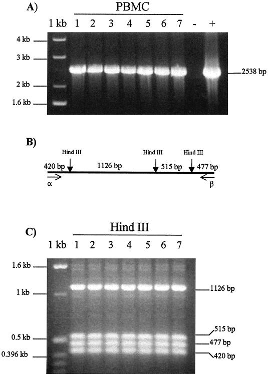 FIG. 1