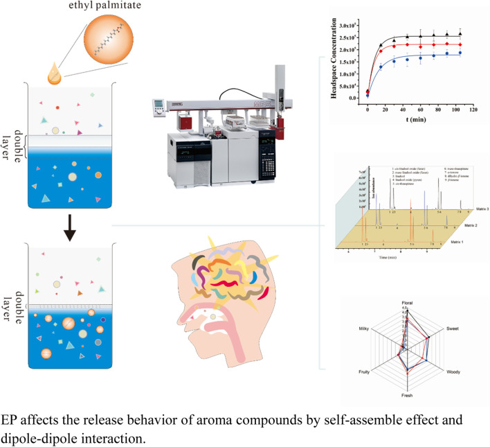 graphic file with name FCHEM_fchem-2024-1381835_wc_abs.jpg