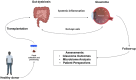 Image, graphical abstract