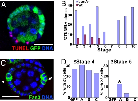 Fig. 4.