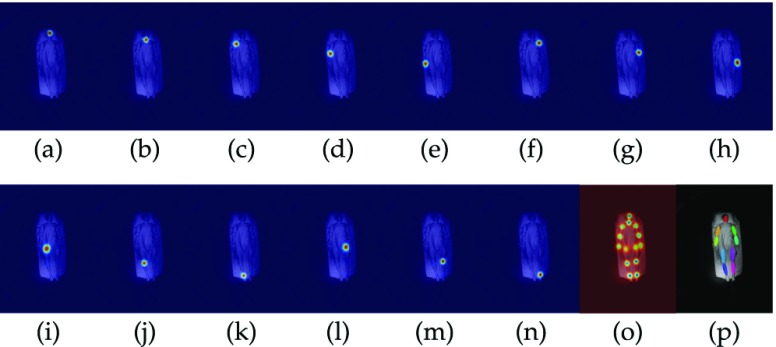 FIGURE 13.