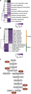 Figure 6