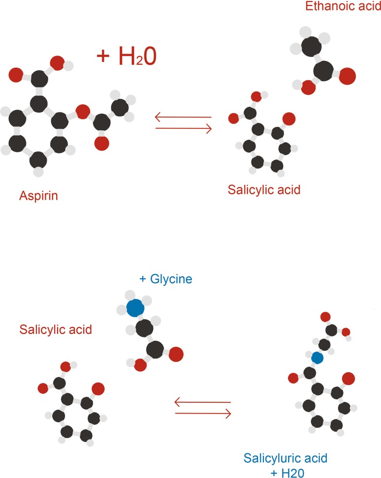 Fig. 2