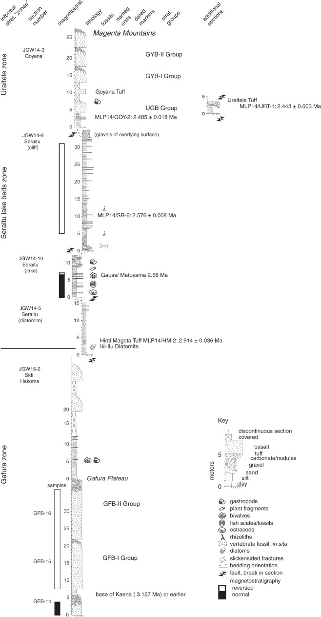 Fig. 2