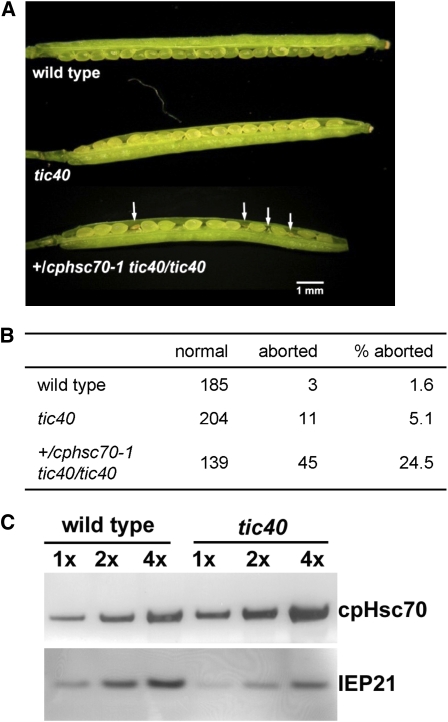 Figure 10.