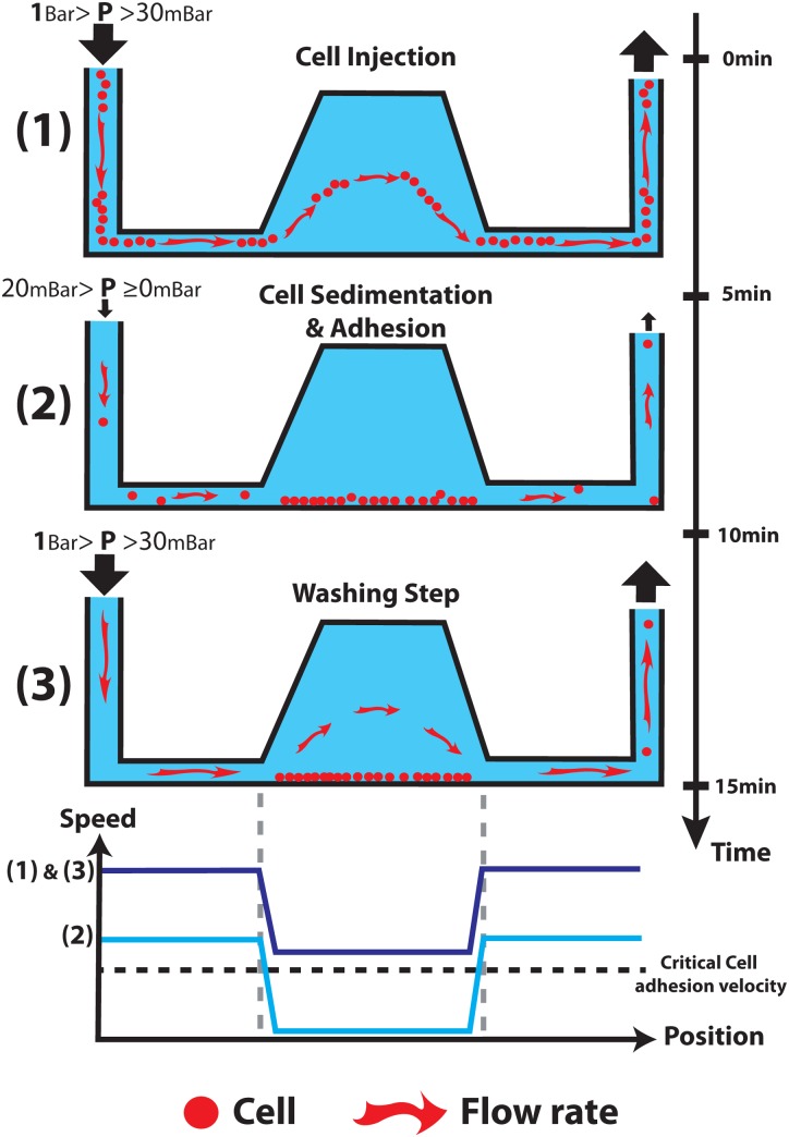 FIG. 1.