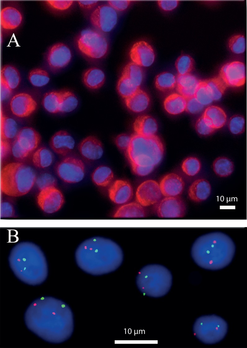 FIG. 10.