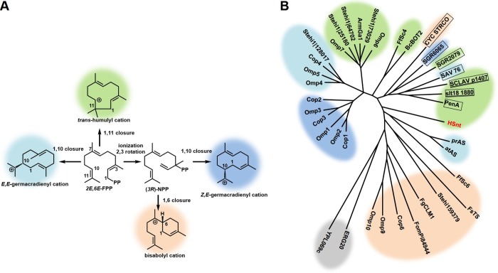 FIG 2